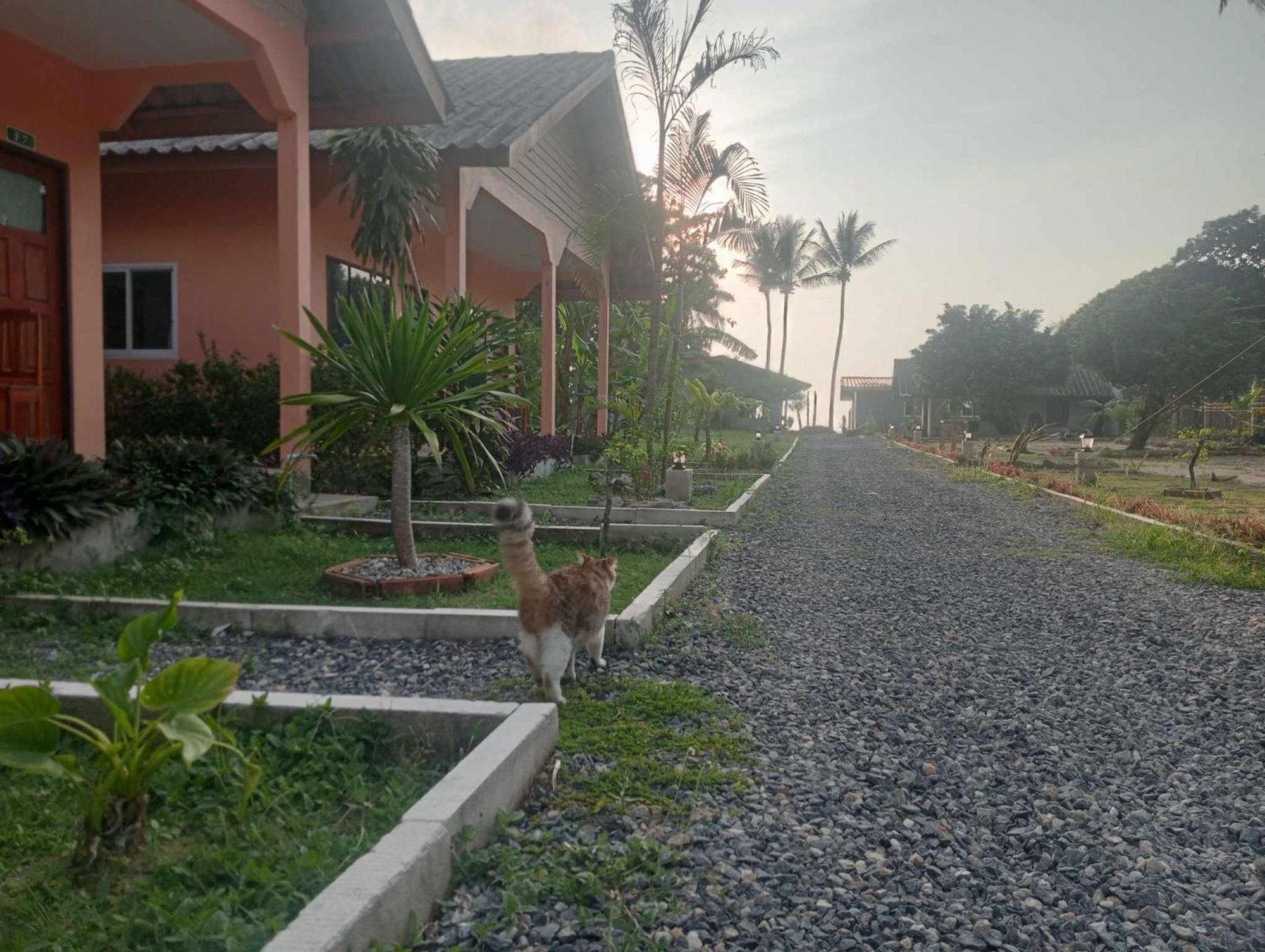 Scandinavian Beach Resort Koh Lanta Bagian luar foto