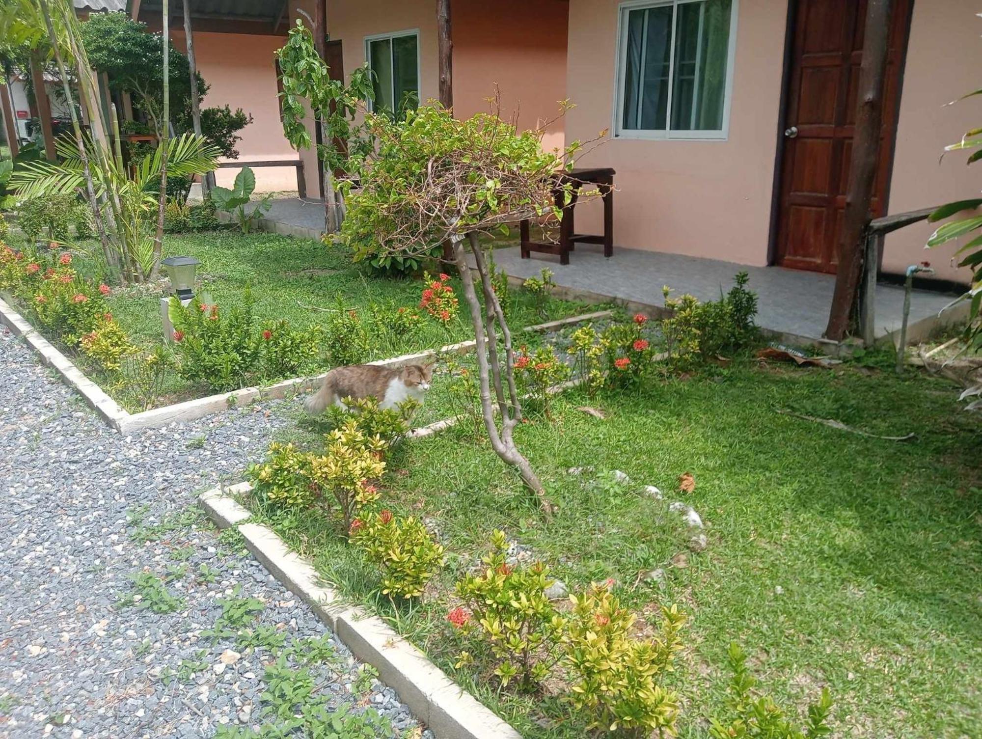 Scandinavian Beach Resort Koh Lanta Bagian luar foto